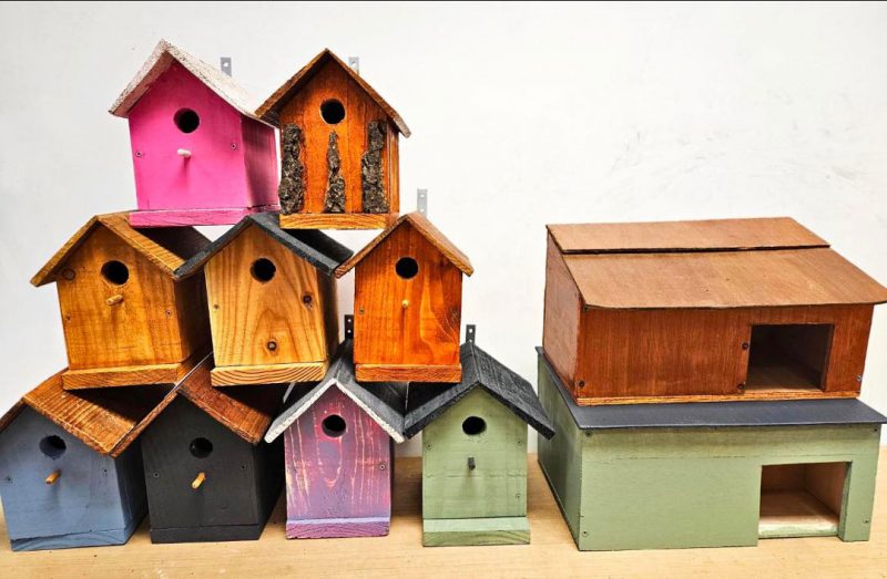 Autistic Minds Testimonials - Green Valley Workshop Bird Houses